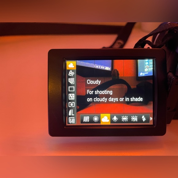 Canon PowerShot SX30 IS - Picture 12 of 16